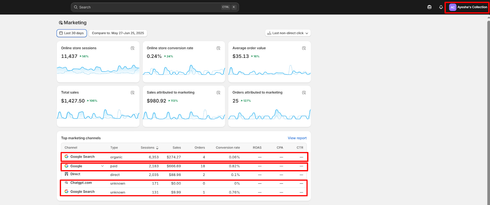 Image of Shopify Sales Data Screenshot